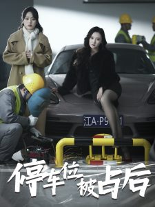 停车位被占后全集