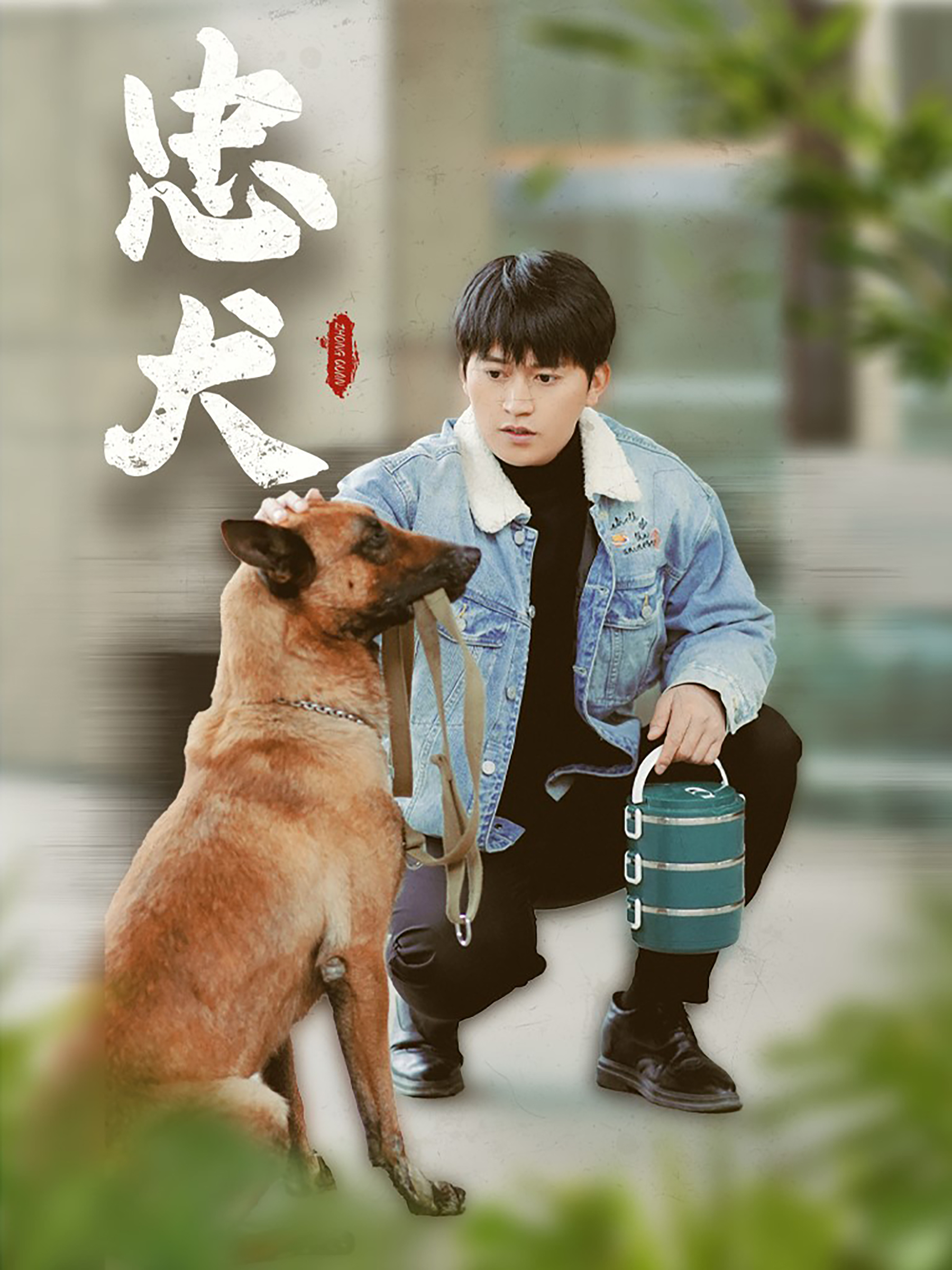 忠犬短剧全集