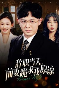 辞职当天前妻哭着求我原谅全集