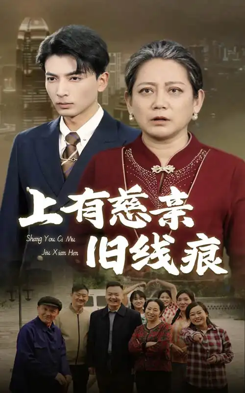 上有慈亲旧线痕全集
