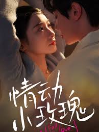情动小玫瑰全集