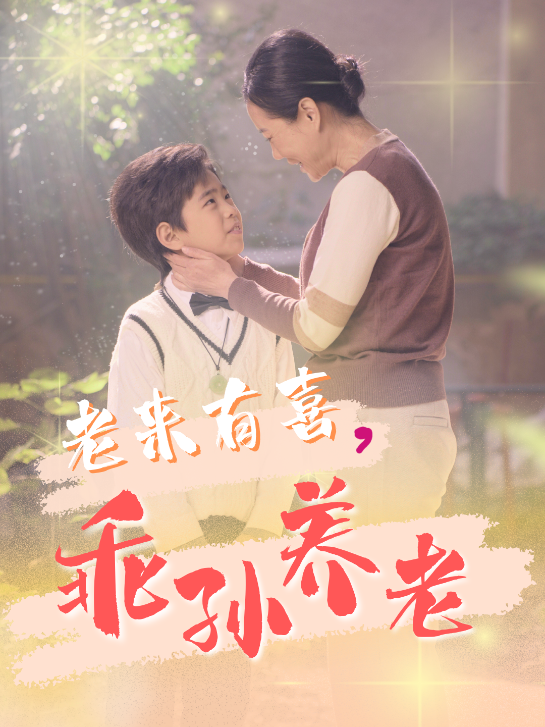 老来有喜乖孙养老全集
