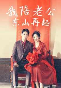 我陪老公东山再起全集