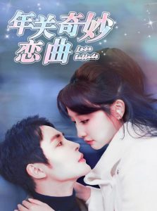 租个钻石男友回家过年全集