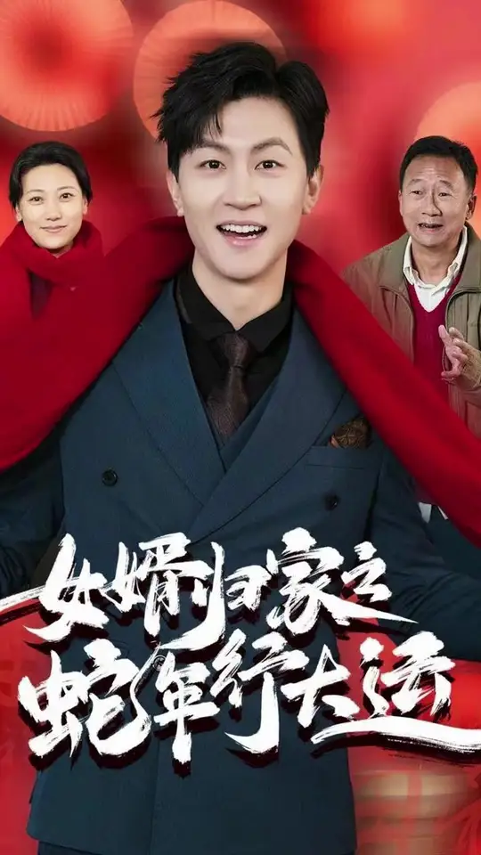 女婿归家之蛇年行大运全集