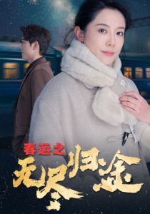 春运之无尽归途全集