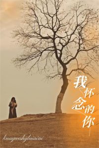 我怀念的你全集