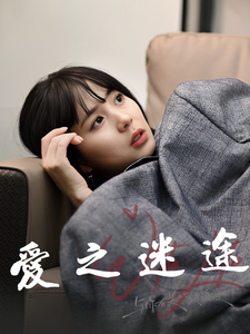 爱之迷途全集