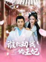 谁敢动我的王妃全集