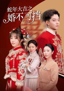 蛇年大吉之婚不可挡全集