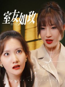 室友如玫全集