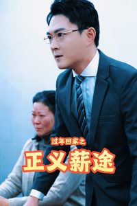 过年回家之正义薪途全集