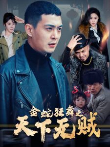 金蛇狂舞之天下无贼全集