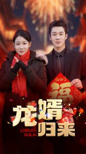 龙婿归来全集