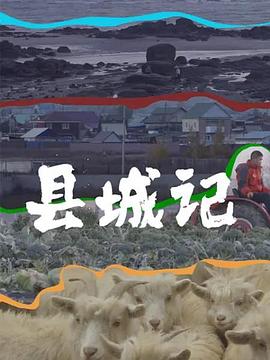 县城记全集