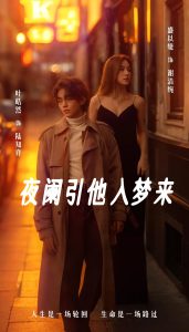 夜阑引他入梦来全集