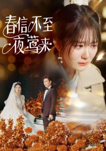 春信不至夜莺来全集