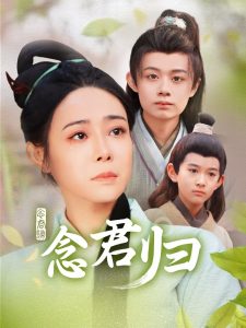 念君归全集