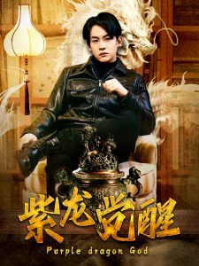 紫龙觉醒全集