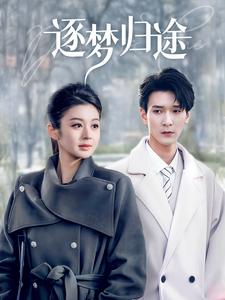 逐梦归途全集