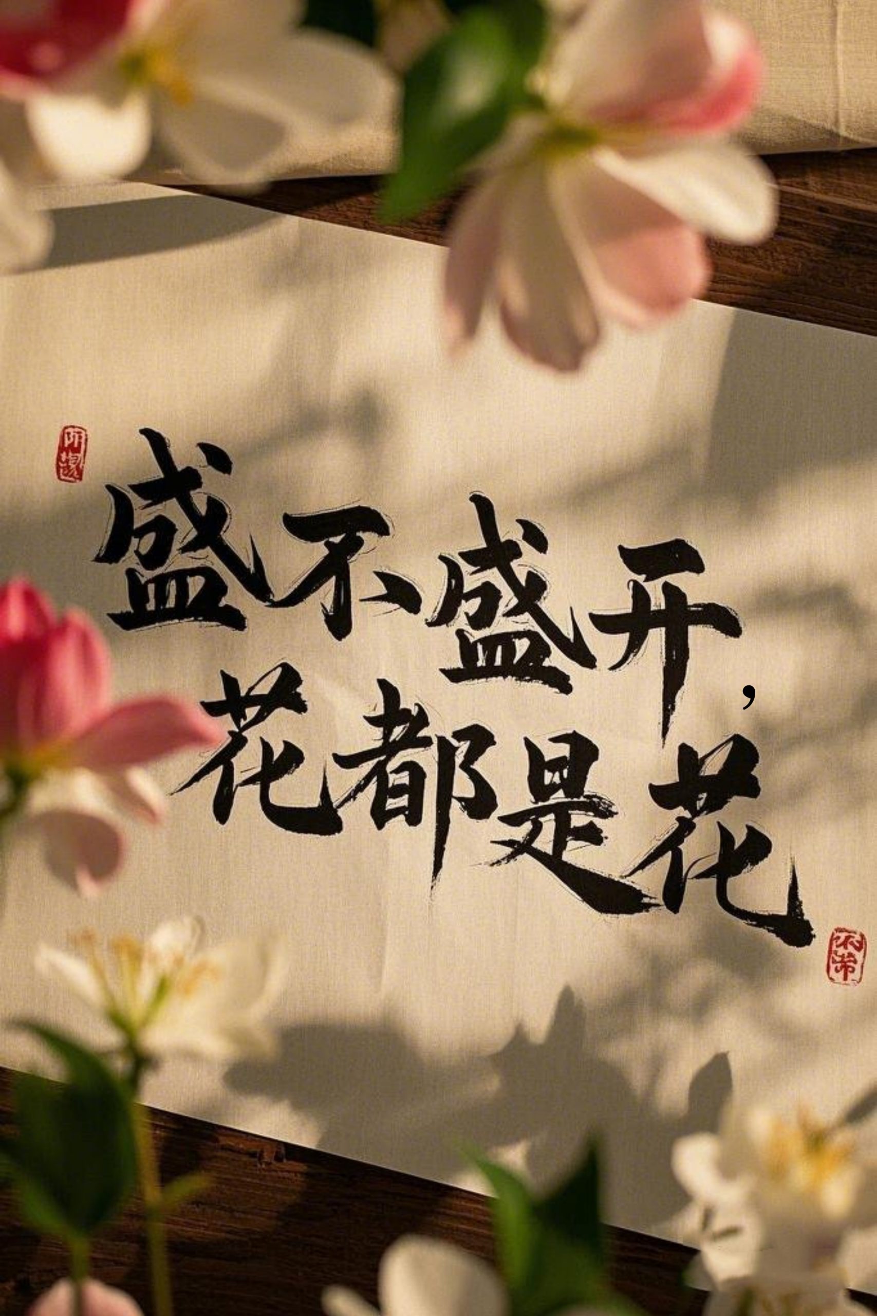 盛不盛开，花都是花全集