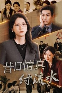 昔日情真付流水全集