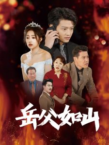岳父如山全集