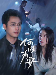 何以为安全集