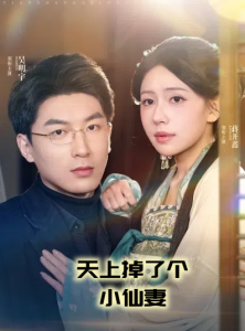 天上掉了个小仙妻全集