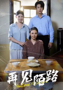 再见陌路全集