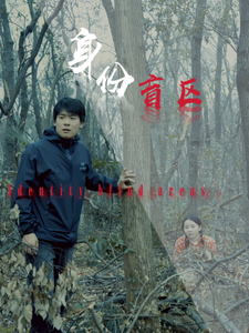 身份盲区全集