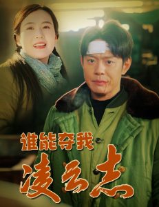 谁能夺我凌云志全集