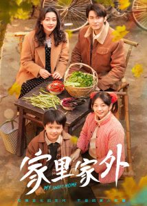 家里家外全集