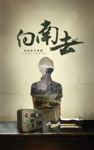 向南去全集