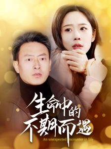 生命中的不期而遇全集