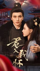 君入我怀全集