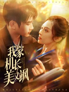 我家机长美又飒全集