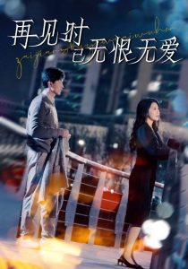 再见时已无恨无爱全集