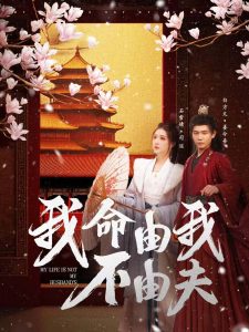 我命由我不由夫全集