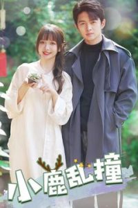 小鹿乱撞全集