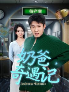 奶爸奇遇记全集