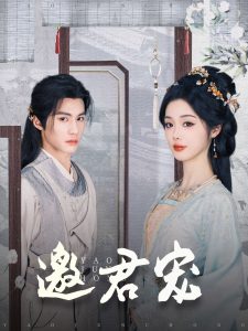 邀君宠全集