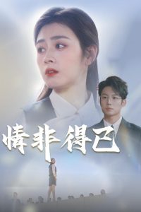 情非得已全集