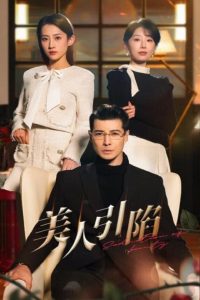 美人引陷全集