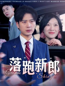 落跑新郎全集
