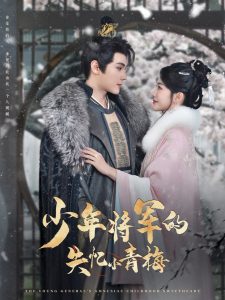 少年将军的失忆小青梅全集
