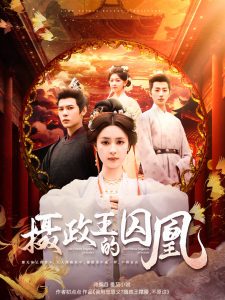 摄政王的囚凰全集