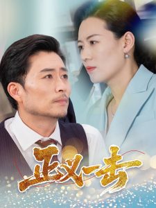 正义一击全集