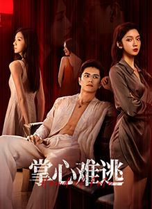 掌心难逃全集