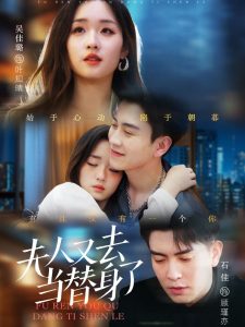 夫人又去当替身了全集